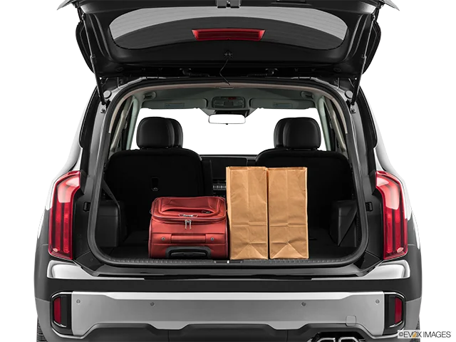 2025 Kia Telluride | Trunk props