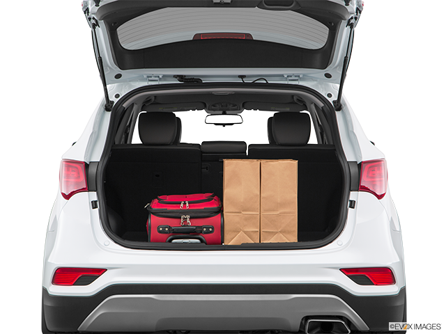 2018 Hyundai Santa Fe Sport | Trunk props