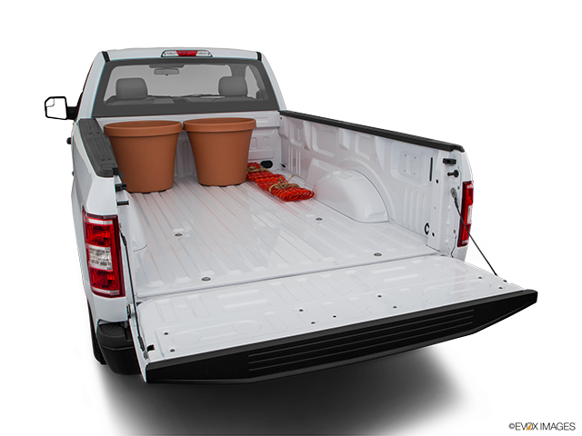 2018 Ford F-150 | Trunk props