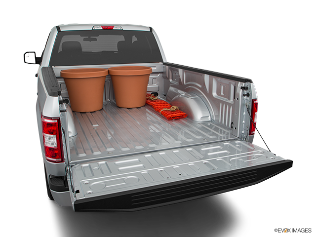 2018 Ford F-150 | Trunk props