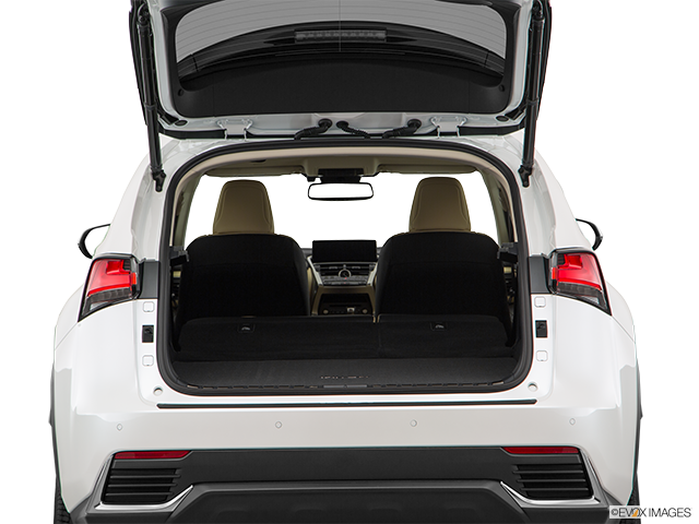 2018 Lexus NX 300h | Hatchback & SUV rear angle