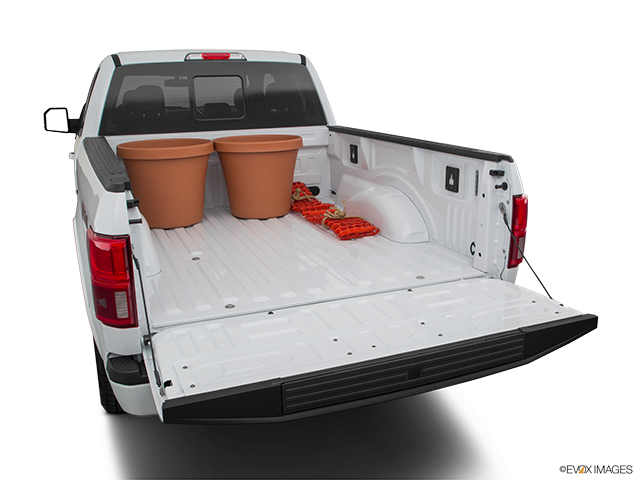 2019 Ford F-150 | Trunk props