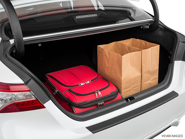 2019 Toyota Camry | Trunk props