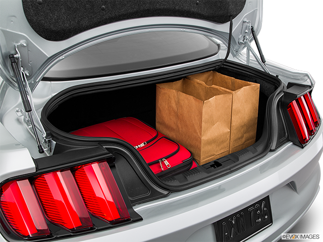 2015 Ford Mustang | Trunk props