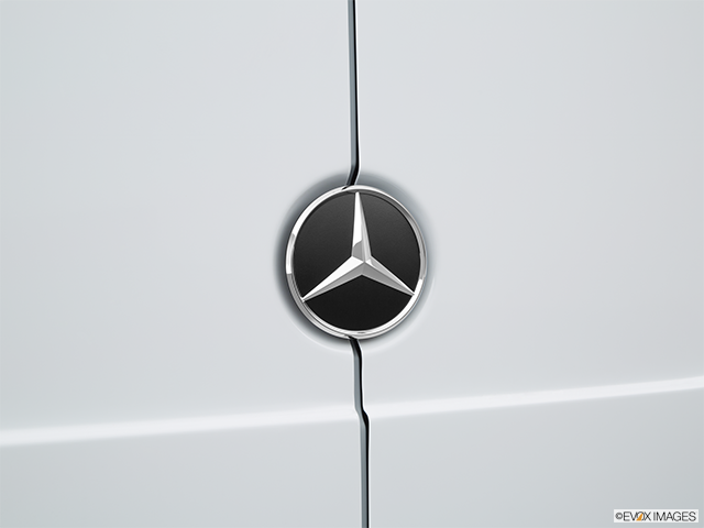 2015 Mercedes-Benz Sprinter Van | Rear manufacturer badge/emblem