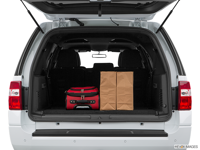 2016 Ford Expedition MAX | Trunk props