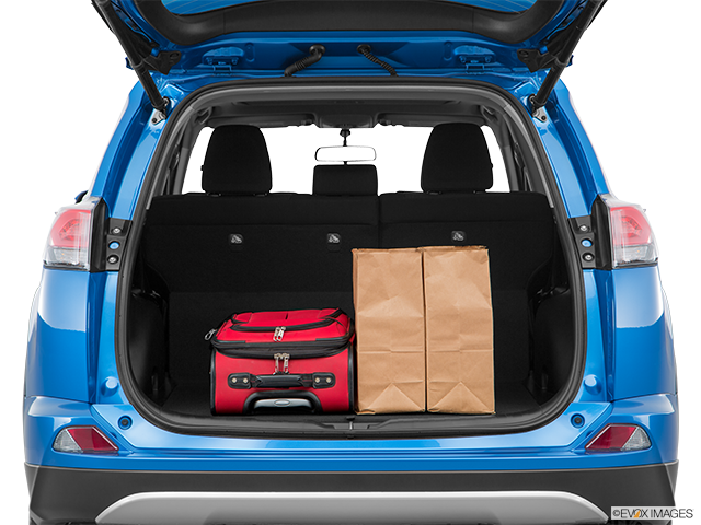 2016 Toyota RAV4 | Trunk props