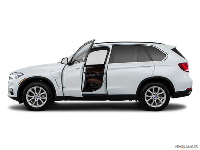 2016 BMW X5 | Driver's side profile with drivers side door open