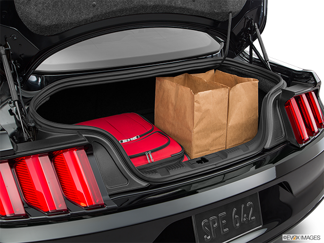 2017 Ford Mustang | Trunk props