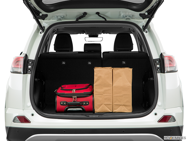 2017 Toyota RAV4 | Trunk props