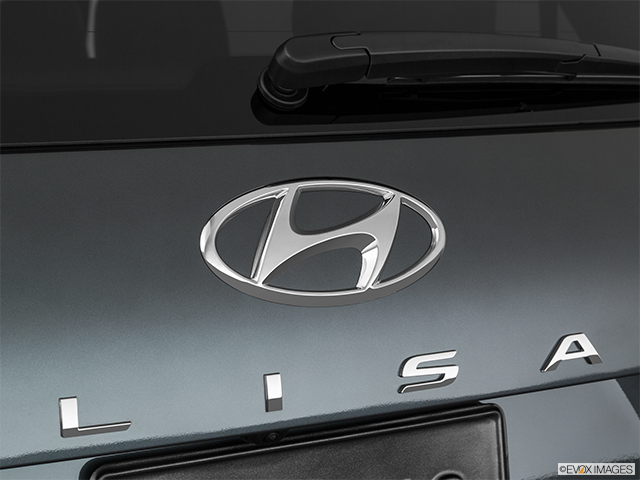 2025 Hyundai Palisade: Price, Review, Photos and Specs (Canada ...