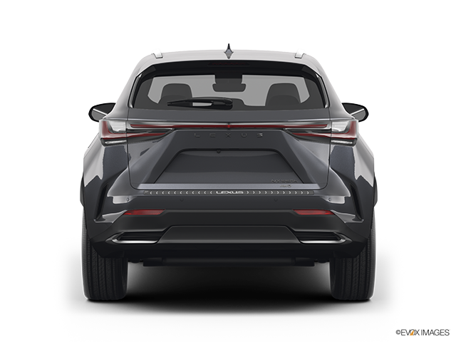 2022 Lexus NX 350h | Low/wide rear