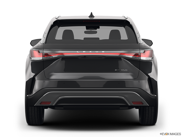 2023 Lexus RX 350 | Low/wide rear