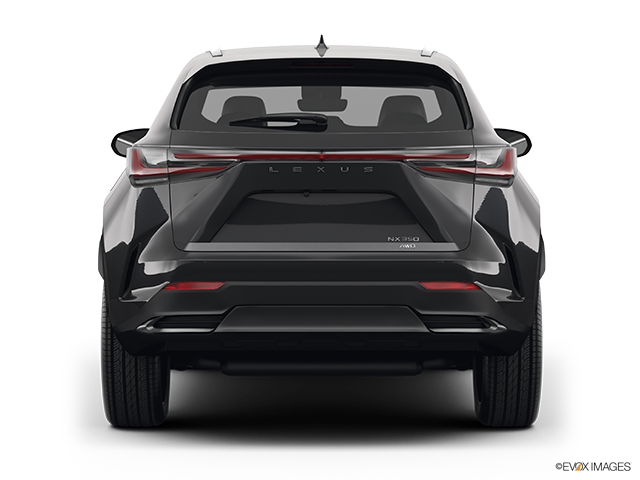 2024 Lexus NX 350 | Low/wide rear