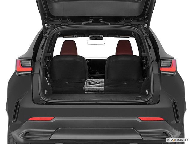 2025 Lexus NX 250 | Hatchback & SUV rear angle