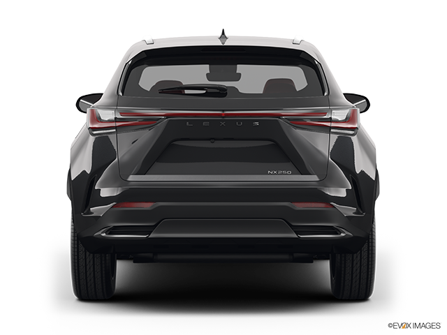 2024 Lexus NX 250 | Low/wide rear