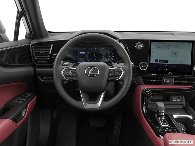 2024 Lexus NX 250 | Steering wheel/Center Console