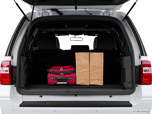 2015 Ford Expedition | Trunk props