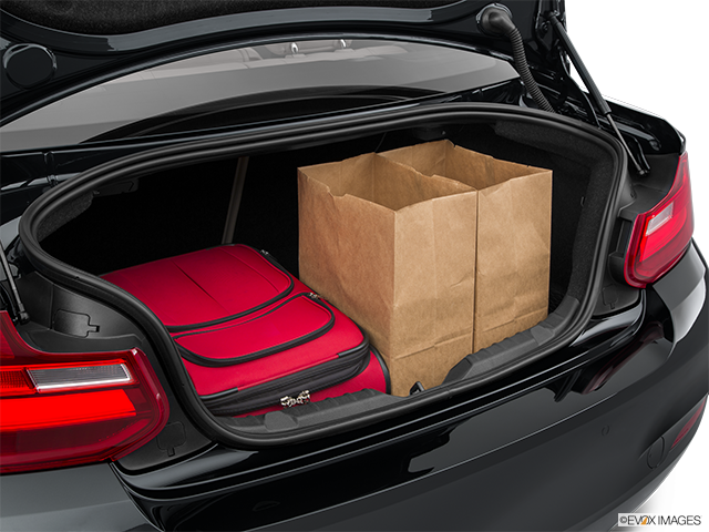 2015 BMW 2 Series | Trunk props